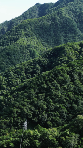 湖北神农架天燕景区竖屏航拍