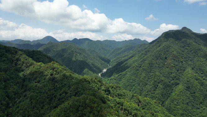 湖北神农架巴桃园4A景区航拍