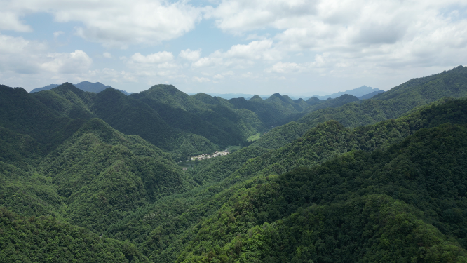 湖北神农架巴桃园4A景区航拍