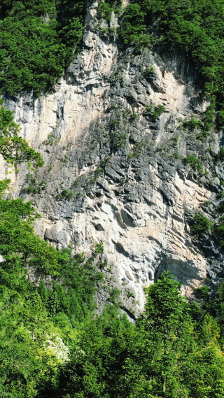 湖北神农架悬崖峭壁竖屏航拍