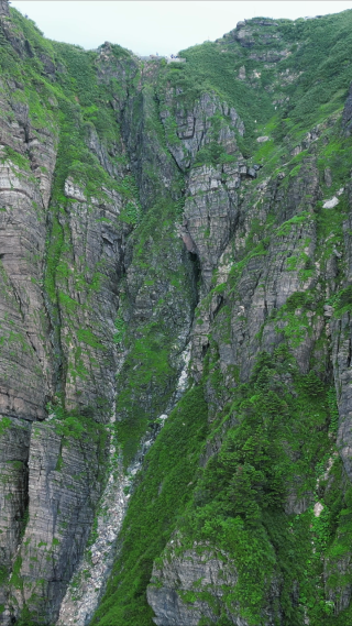 湖北神农架神农谷竖屏航拍 