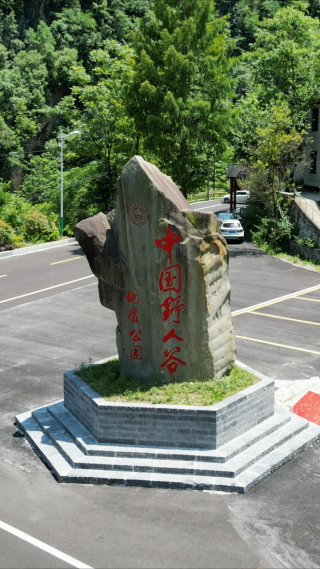 湖北神农架野人谷景区竖屏航拍