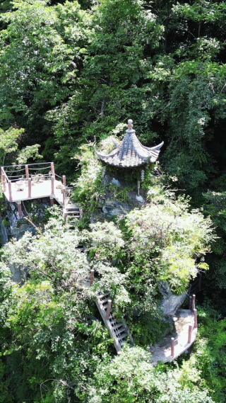 湖北神龙大峡谷竖屏航拍 
