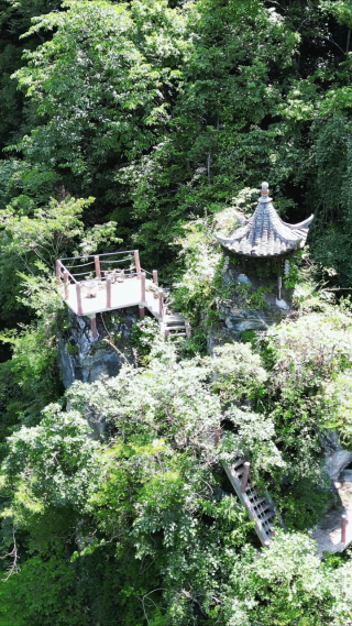 湖北神龙大峡谷竖屏航拍 