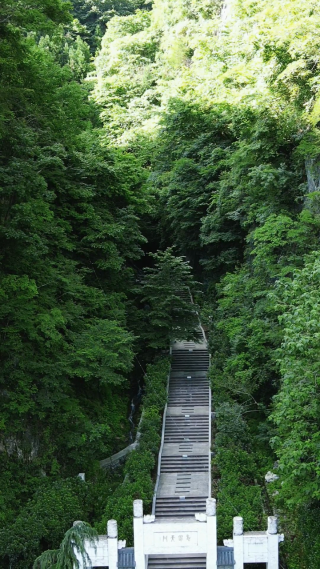 湖北襄阳尧治河4A风景区竖屏航拍