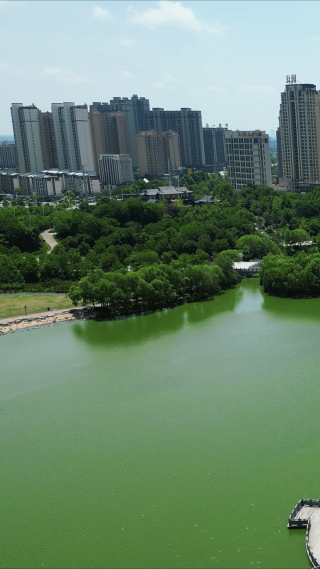湖北随州城市风光竖屏航拍