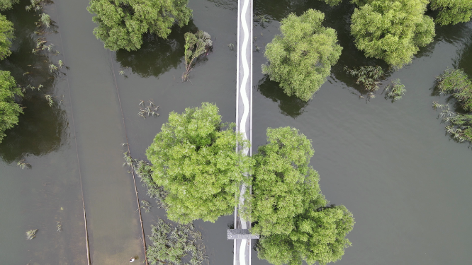 湖南岳阳洞庭湖水上唯美观光步道航拍