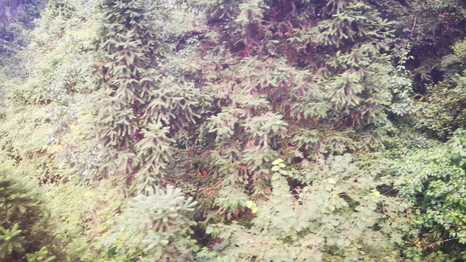 湖南张家界天门山索道观光