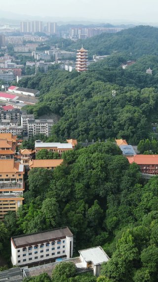 湖南益阳会龙公园竖屏航拍