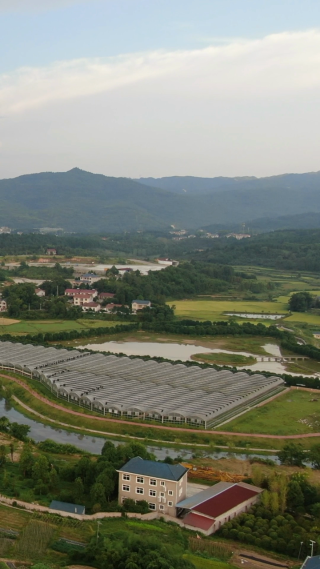 现代农业种植大棚竖屏航拍