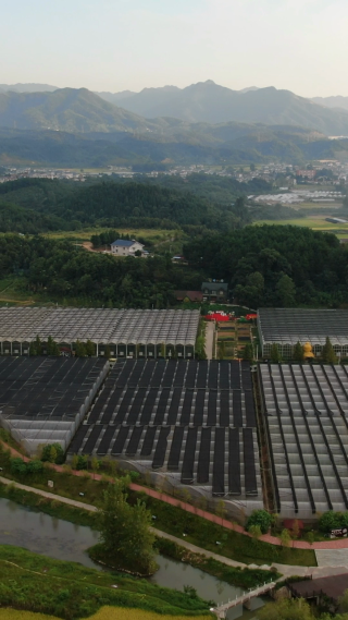 现代农业种植大棚竖屏航拍