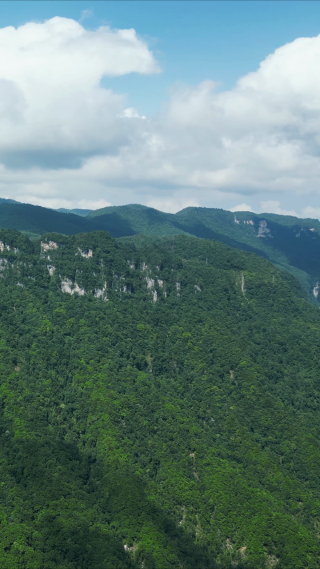 祖国壮丽山河湖北神农架天燕景区竖屏航拍