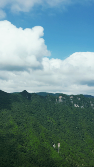 祖国壮丽山河湖北神农架天燕景区竖屏航拍