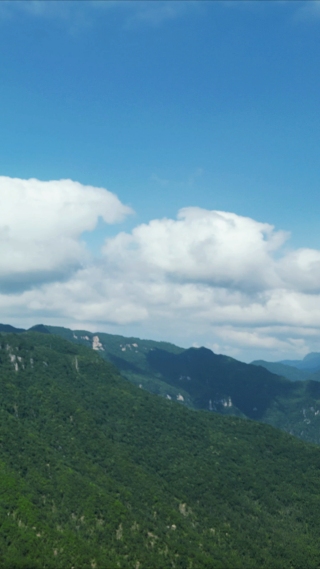 祖国壮丽山河湖北神农架天燕景区竖屏航拍