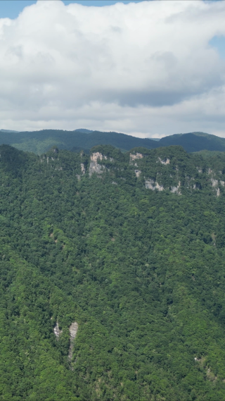 祖国壮丽山河湖北神农架天燕景区竖屏航拍