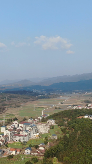 美丽乡村田园农业种植基地竖屏航拍