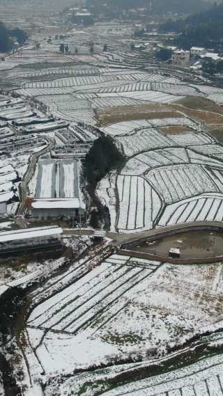 美丽乡村田园冬天雪景竖屏航拍