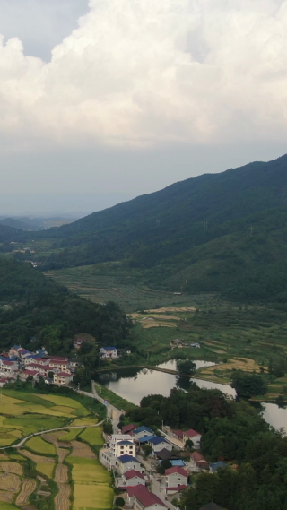 美丽乡村田园竖屏航拍