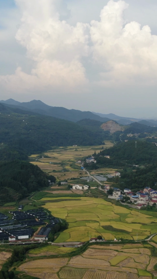 美丽乡村田园竖屏航拍