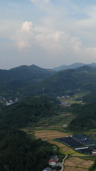 美丽乡村田园竖屏航拍