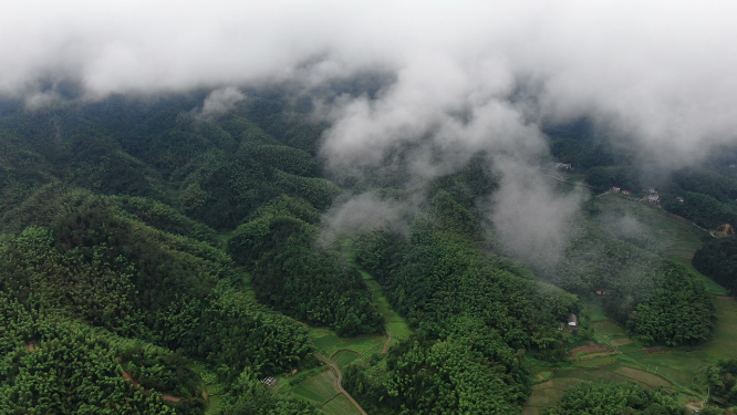 自然风光山间雨后云雾缭绕航拍