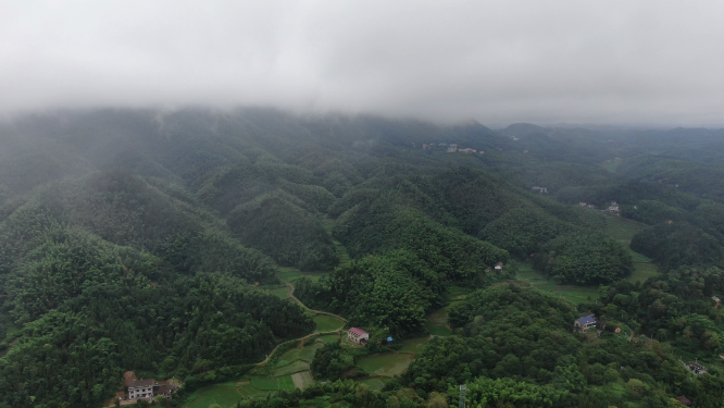 自然风光雨后森林迷雾航拍