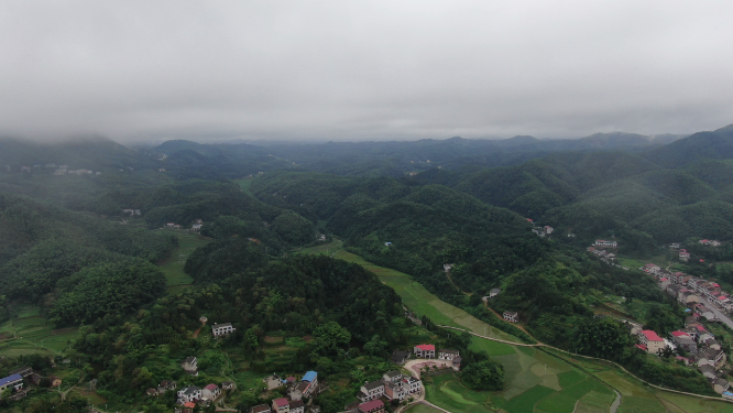 自然风光雨后森林迷雾航拍