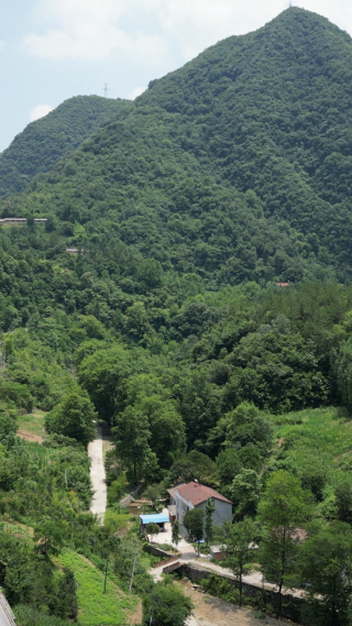 航拍丘陵大山森林风光 