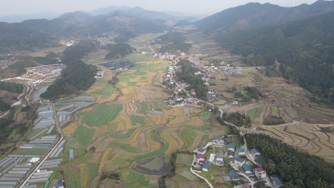 航拍乡村田园农业种植基地