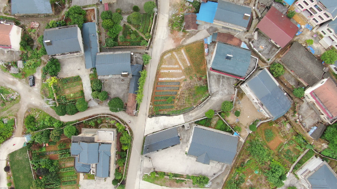 航拍乡村田园农业种植基地