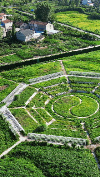 航拍公园八卦图花卉