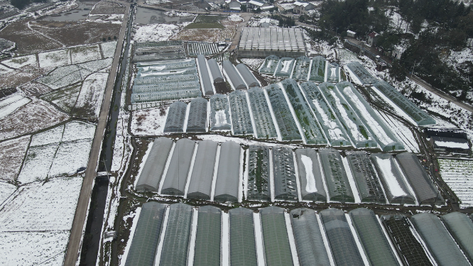 农业种植大棚冬天雪景