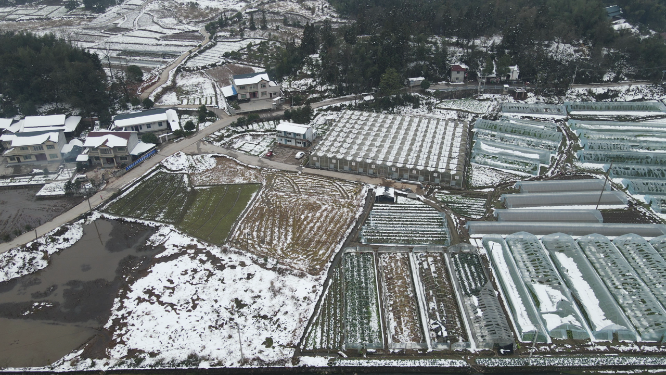 农业种植大棚冬天雪景