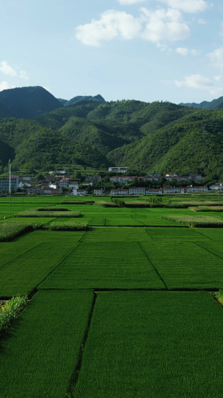 航拍农业种植农田农作物