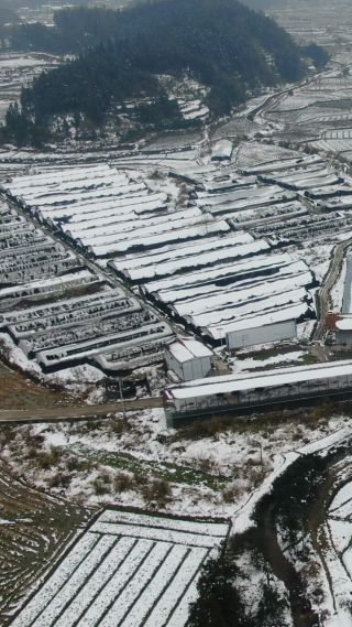 航拍农业种植农田冬天雪景竖屏