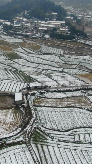 航拍农业种植农田冬天雪景竖屏