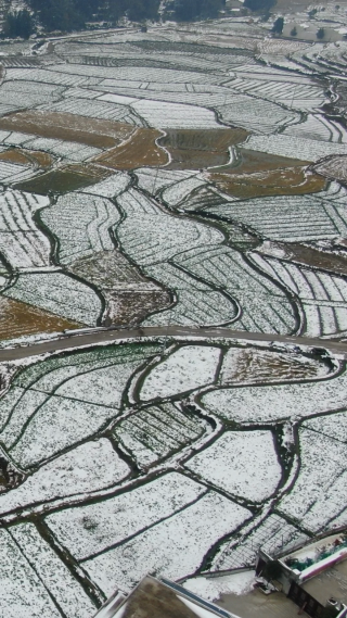 航拍农业种植农田冬天雪景竖屏