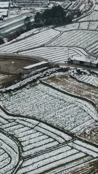 航拍农业种植农田冬天雪景竖屏