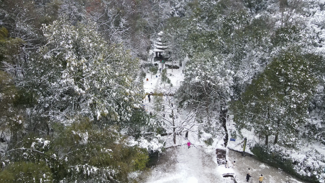 航拍冬天森林雪景