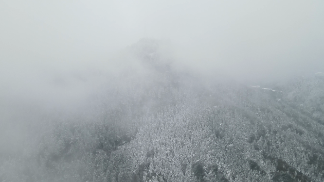 航拍冬天森林雪景