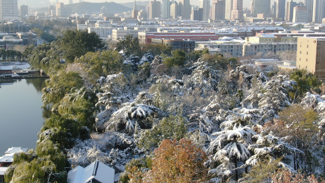 航拍冬天植物雪景 