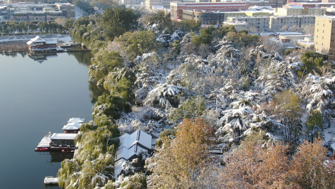 航拍冬天植物雪景 