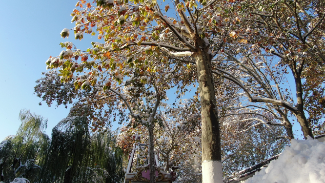 航拍冬天雪景济南大明湖