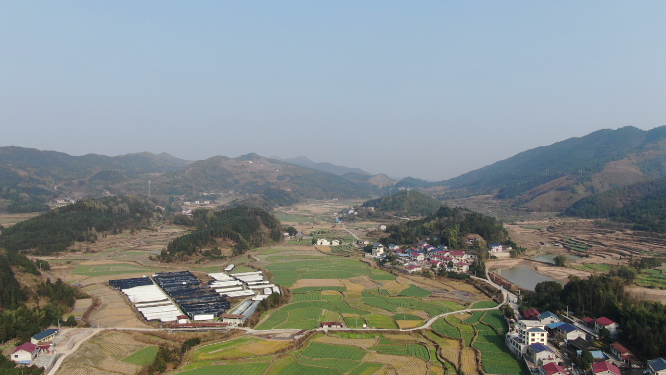航拍冬季乡村田园农业种植