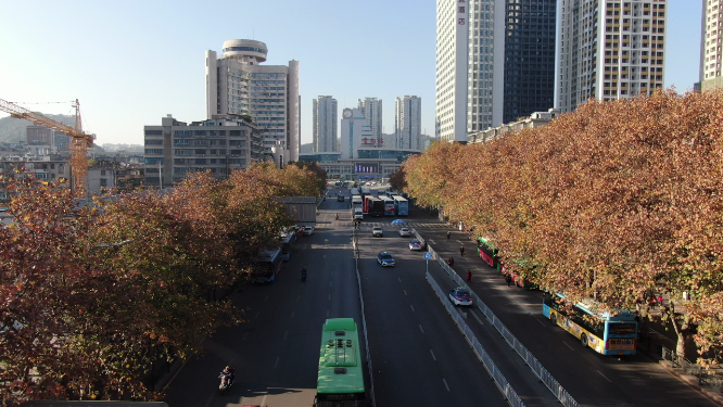 航拍城市大道秋天枯黄梧桐叶贵州贵阳