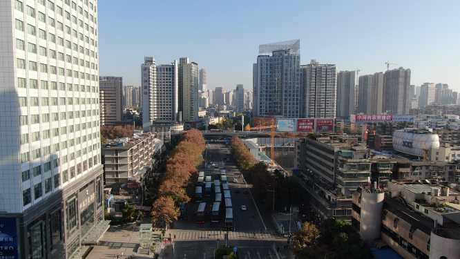 航拍城市大道秋天枯黄梧桐叶贵州贵阳