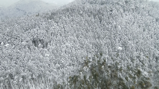 航拍大山森林冬天雪景迷雾 