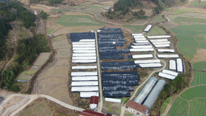 航拍大棚农业种植基地