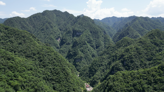航拍大自然深山山谷湖北神农架神农谷