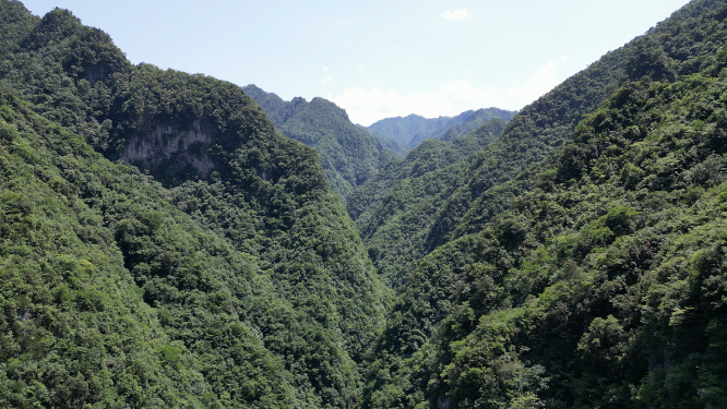 航拍大自然深山山谷湖北神农架神农谷